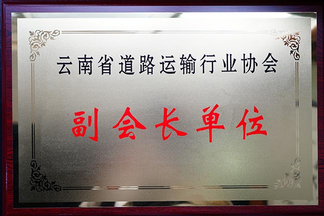 44云南省道路運(yùn)輸行業(yè)協(xié)會(huì)副會(huì)長單位